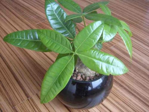 ǰ11¹ҵҵʵ57445Ԫ ͬ2.4%